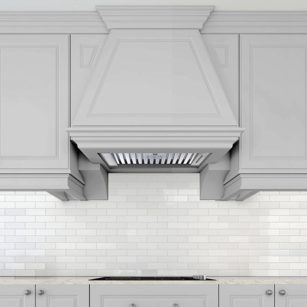 Ancona 24" Inserta Euro Designer Series 650 CFM Ducted Range Hood with Night Light Feature Wayfair